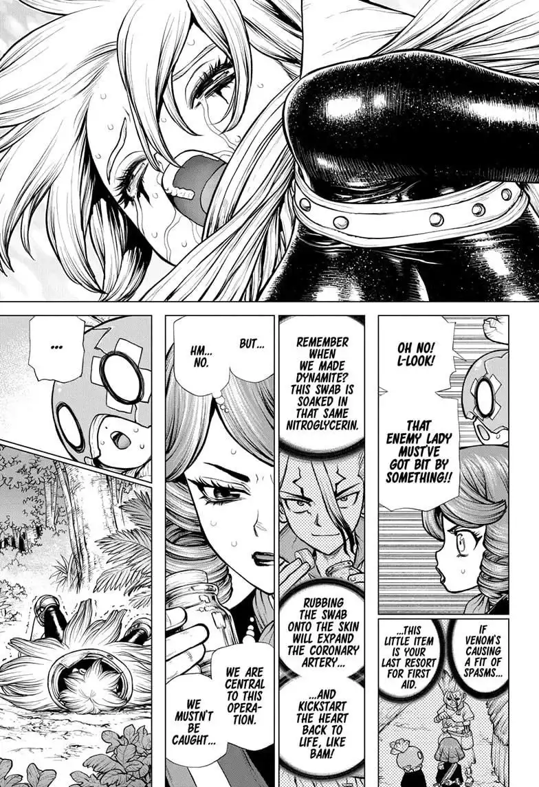 Dr. Stone Chapter 185 14